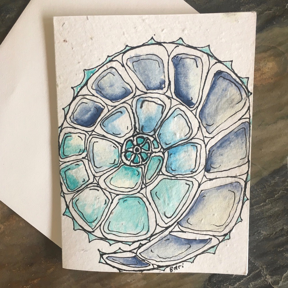 Handpainted Plantable Cards: Butterfly and Shells
