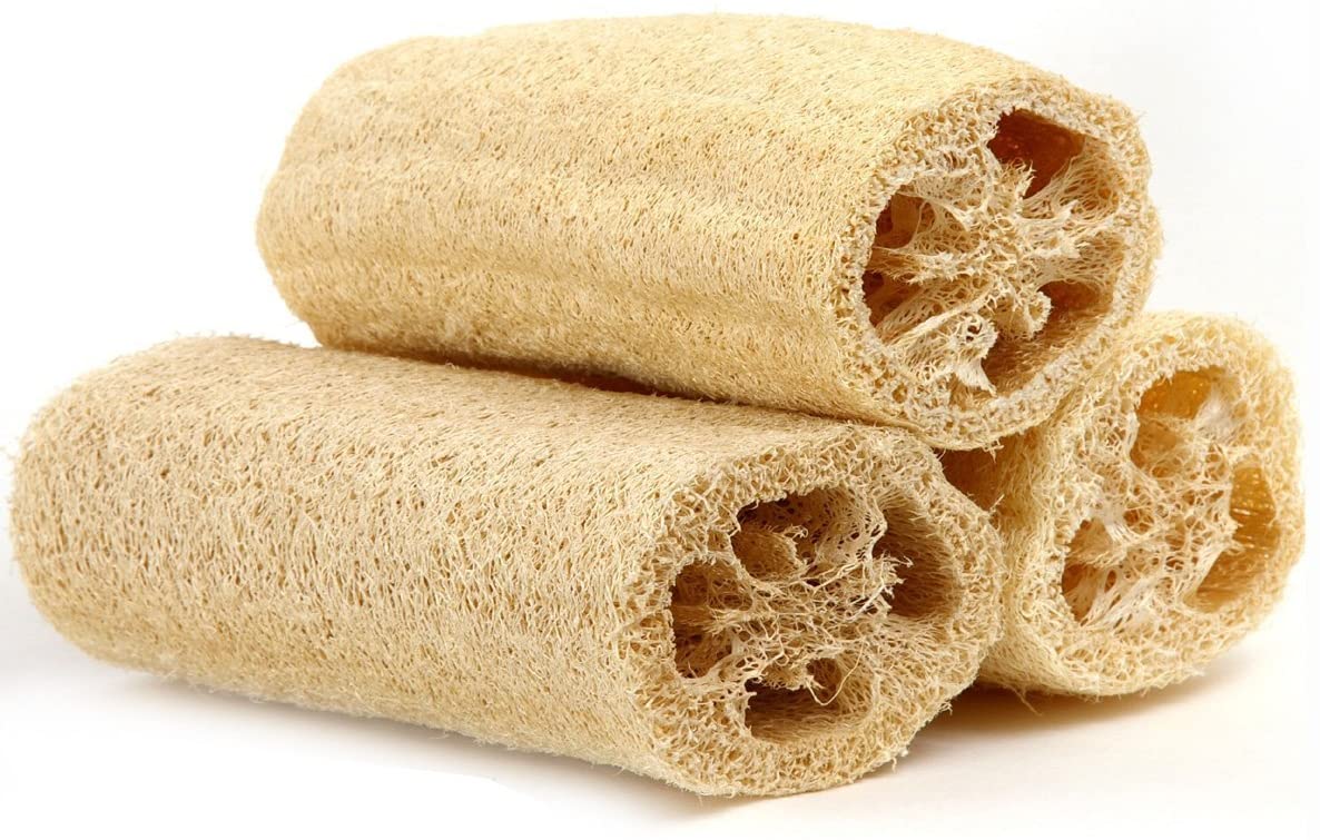 Loofah