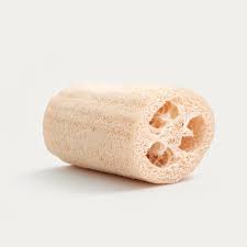Loofah