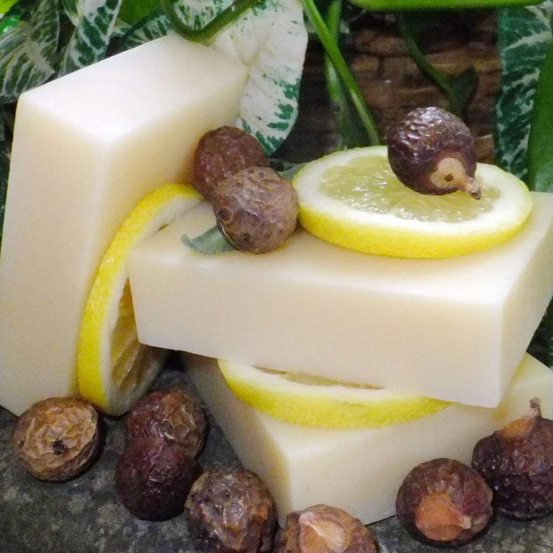 Shampoo Bar for Normal hair- Soapnut citrus