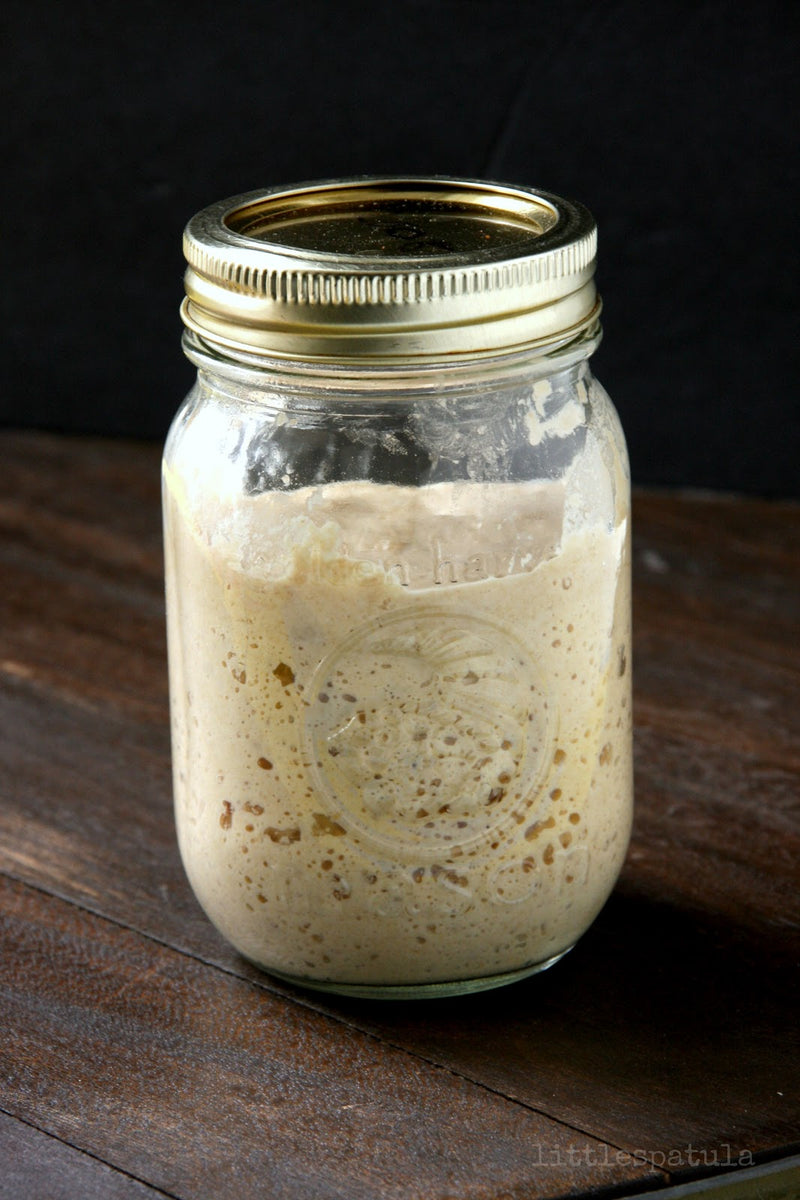 Sourdough Starter- Dehydrated