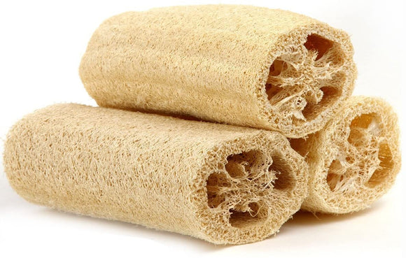 Loofah