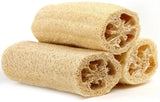 Loofah