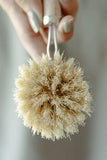 Dish Scrub Brush