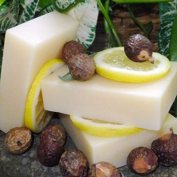 Shampoo Bar for Normal hair- Soapnut citrus